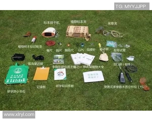 西安攀岩队转型之路探秘：从传统到现代的攀岩竞技新篇章